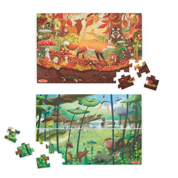 Picture of LEt's Explore 2 Double Sided Puzzles